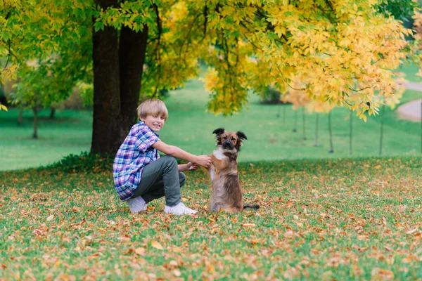 Junge Umarmt Hund Und Plappert Mit Herbst Stadtpark — Stockfoto