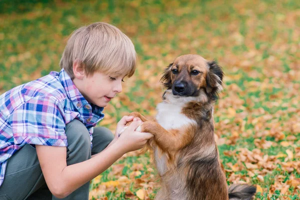 Мальчик Обнимает Собаку Связывается Осенью Городской Парк — стоковое фото