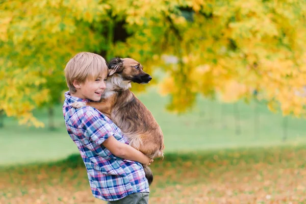 Junge Umarmt Hund Und Plappert Mit Herbst Stadtpark — Stockfoto
