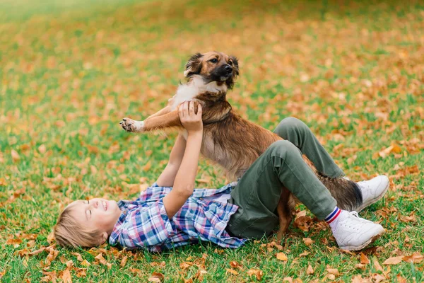 Jongen Knuffelen Een Hond Plyaing Met Herfst Stadspark — Stockfoto