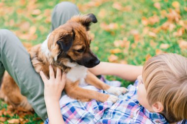 Çocuk sonbaharda bir köpeğe sarılıyor ve onunla kırıştırıyor, şehir parkında