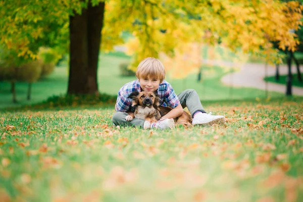 Jongen Knuffelen Een Hond Plyaing Met Herfst Stadspark — Stockfoto
