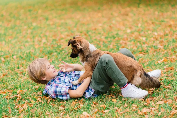 Jongen Knuffelen Een Hond Spelen Met Herfst Stadspark — Stockfoto
