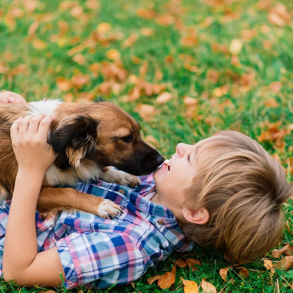 Jongen Knuffelen Een Hond Spelen Met Herfst Stadspark — Stockfoto