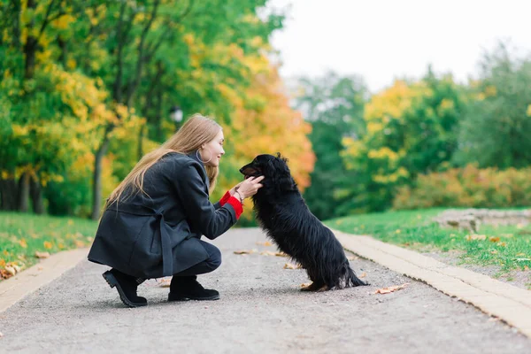 Genç Çekici Bir Kadın Dachshund Köpeğini Kollarında Tutuyor Sonbahar Zamanı — Stok fotoğraf