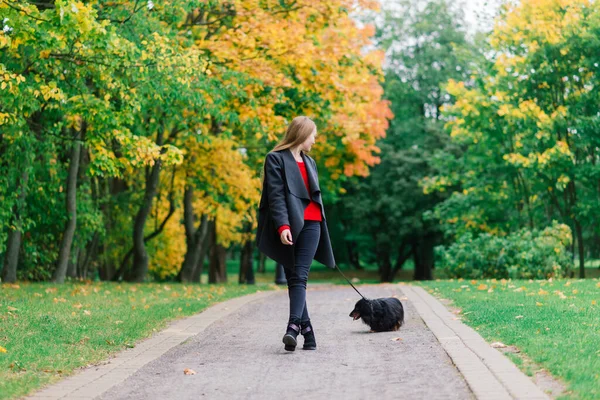 Junge Attraktive Frau Mit Ihrem Dackelhund Arm Draußen Park Bei — Stockfoto