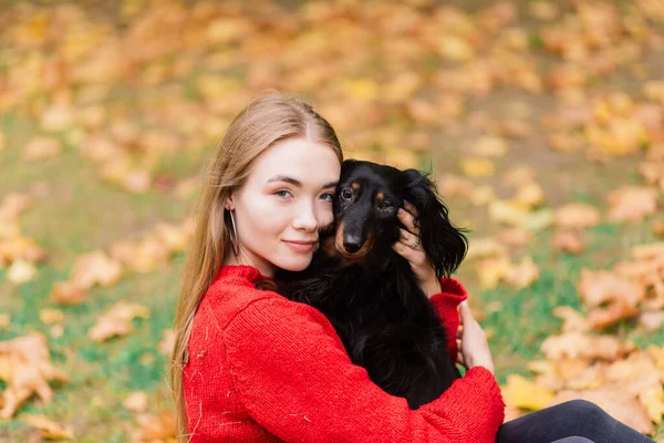 Jovem Mulher Atraente Segurando Seu Cão Dachshund Seus Braços Livre — Fotografia de Stock