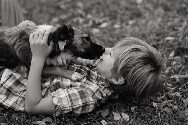 Милий Хлопчик Грає Гуляє Своїм Собакою Лузі — стокове фото