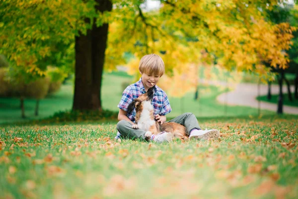 Mignon Garçon Jouer Marcher Avec Son Chien Dans Prairie — Photo