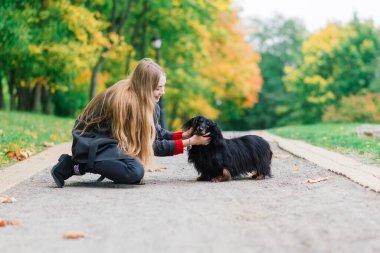 Genç ve çekici bir kadın dachshund köpeğini kollarında tutuyor. Sonbahar zamanı güneşin doğuşunda parkta.