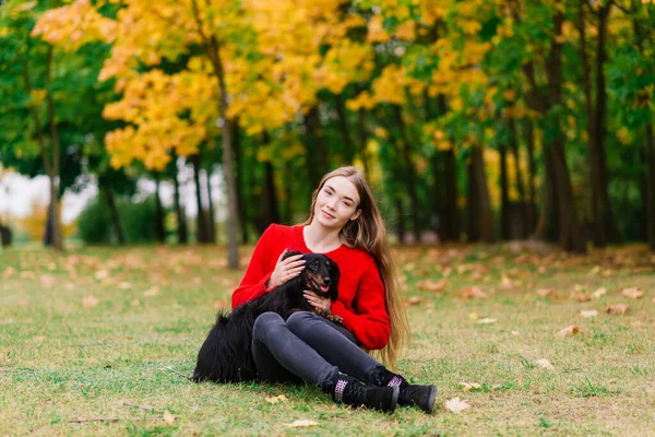 Jovem Mulher Atraente Segurando Seu Cão Dachshund Seus Braços Livre — Fotografia de Stock