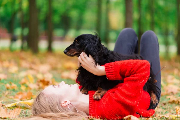 Genç Çekici Bir Kadın Dachshund Köpeğini Kollarında Tutuyor Sonbahar Zamanı — Stok fotoğraf