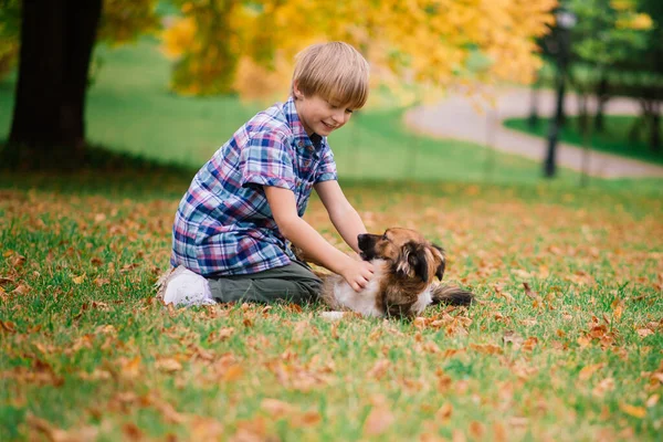 Çocuk Köpeğe Sarılıyor Sonbaharda Şehir Parkında Oynuyor — Stok fotoğraf