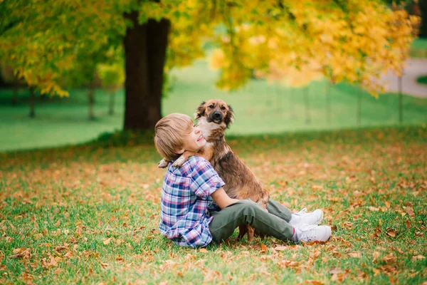 Мальчик Обнимает Собаку Играет Осенью Городской Парк — стоковое фото