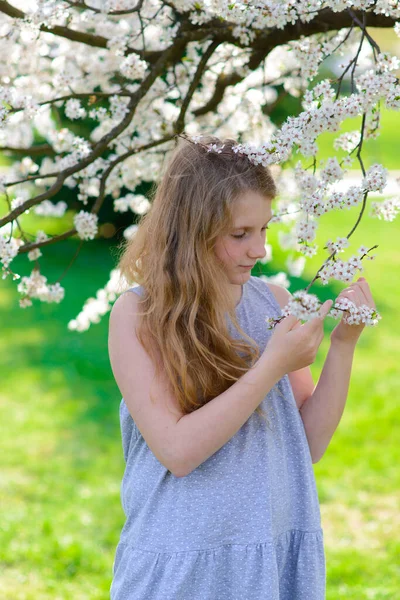 Hübsches Mädchen Blühenden Apfelbaumgarten Einem Schönen Frühlingstag — Stockfoto