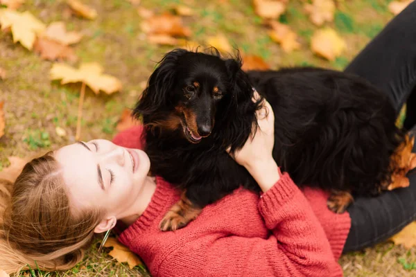 Genç Çekici Bir Kadın Dachshund Köpeğini Kollarında Tutuyor Sonbahar Zamanı — Stok fotoğraf