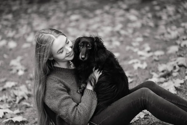 Genç Çekici Bir Kadın Dachshund Köpeğini Kollarında Tutuyor Sonbahar Zamanı — Stok fotoğraf