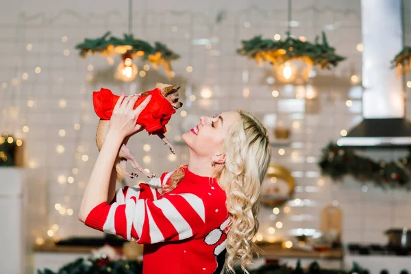 Noel Baba 'nın Noel Baba' yı takan sarışın kadının portresi. Mutfakta Chihuahua sosislileriyle Noel süsleri takıyor, gülümsüyor ve kameraya bakıyor..
