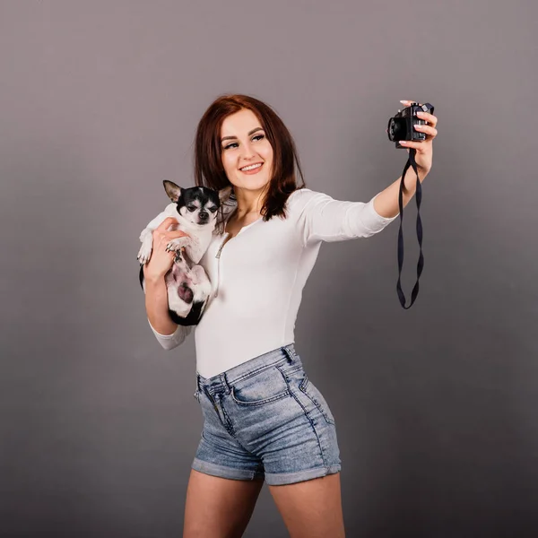 Woman and dog. Man and animal. Brunette holding chihuahua in the studio on grey background.