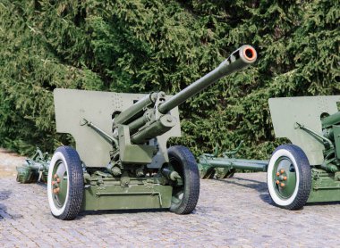 Parktaki Rus topları ve havan topları görünüyor. Askeri müze açık havada.