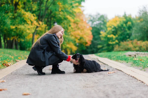 Donna Felice Che Tiene Suo Cagnolino Braccio Parco Autunnale — Foto Stock