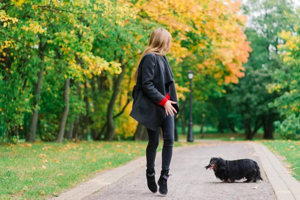Junge Attraktive Frau Hält Ihren Dackelhund Herbst Sonnenaufgangspark Auf Dem — Stockfoto