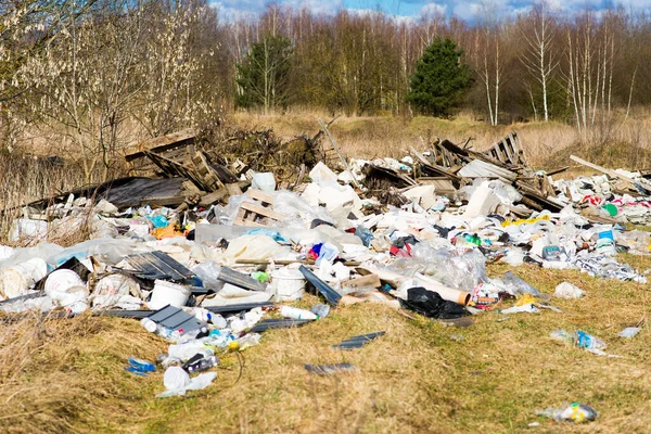 Una Discarica Bosco Una Foresta Problemi Ecologici — Foto Stock