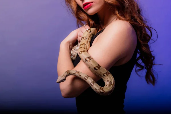 Beautiful Young Redhead Woman Snake Fashionable Perfect Makeup Studio Shot — Stock Photo, Image