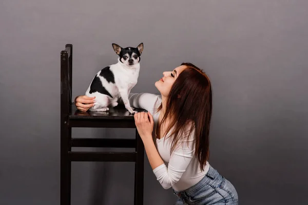 Jovem Mulher Abraçando Chihuahua Cachorro Estúdio Isolado — Fotografia de Stock