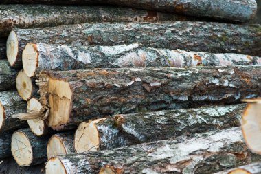 İnşaat binaları ve arka planlar için istiflenmiş çam ağacı kerestesi.