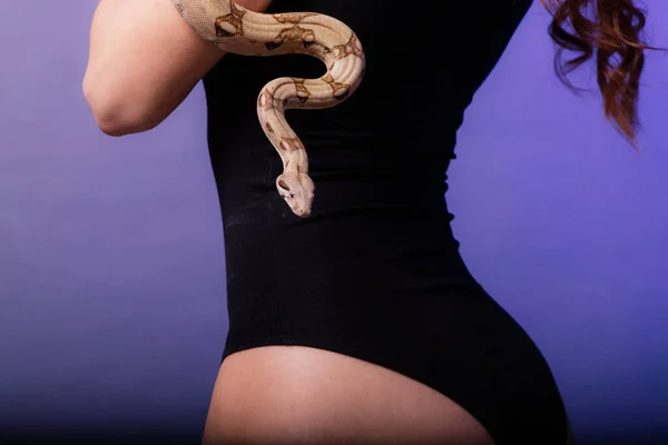 Mulher Ruiva Nova Bonita Com Cobra Com Uma Composição Perfeita — Fotografia de Stock