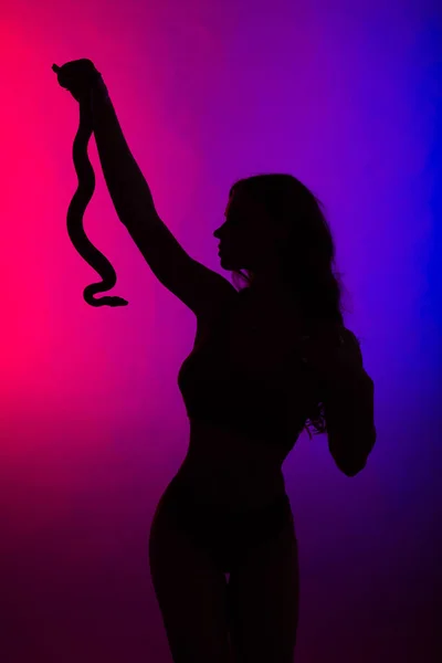 Bella Giovane Donna Rossa Con Serpente Con Trucco Perfetto Alla — Foto Stock