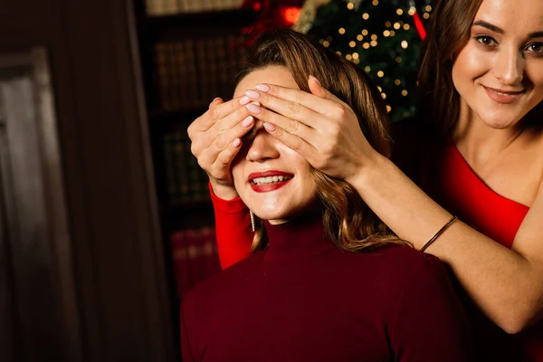 Couple Lesbien Ensemble Intérieur Communiquent Joyeusement Préparant Pour Célébration Noël — Photo