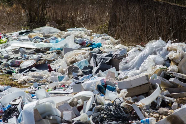 Spazzatura Una Foresta Spazzatura Discarica Spazzatura — Foto Stock