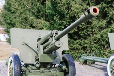 Parktaki Rus topları ve havan topları görünüyor. Askeri müze açık havada.