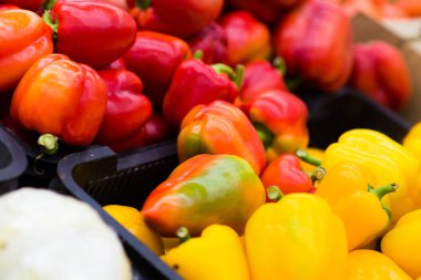 Süpermarketteki kutulardaki biberlerin çeşitliliği