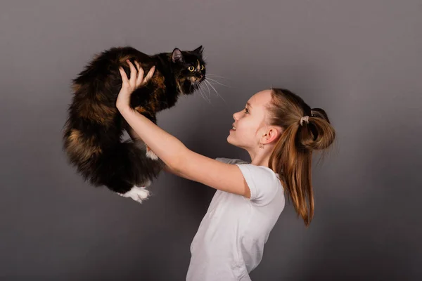 Portrait Little Girl Playing Her Pet Black Big Cat — Stock Photo, Image