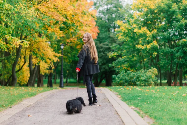 Donna Felice Che Tiene Suo Cagnolino Braccio Parco Autunnale — Foto Stock