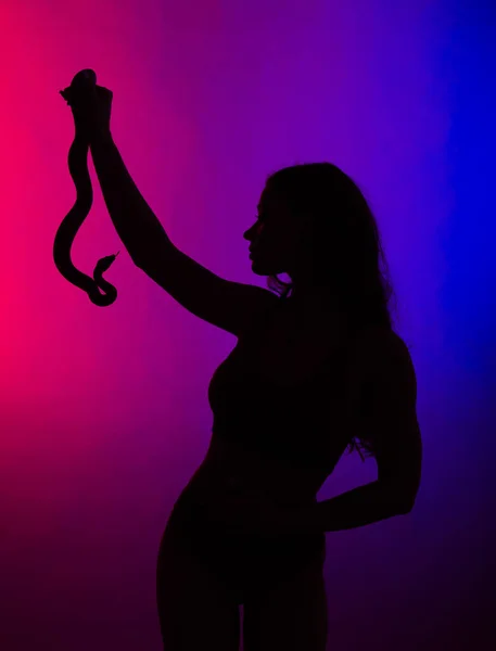 Jovem Mulher Biquíni Preto Posando Com Python Contra Fundo Estúdio — Fotografia de Stock