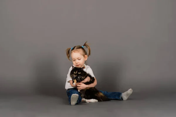 Love Kitten Little Girl Holds Her New Pet — стоковое фото