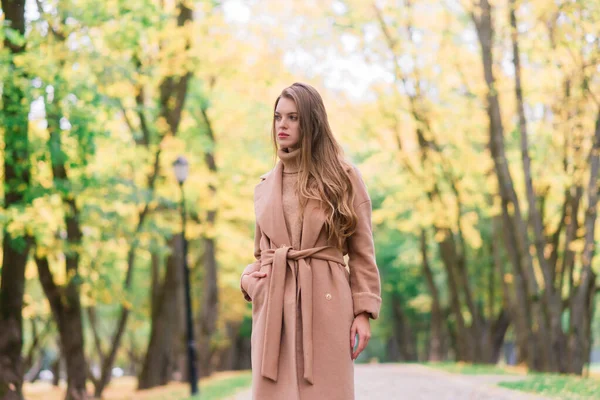 Schöne Frau Verbringt Herbst Zeit Einem Park — Stockfoto