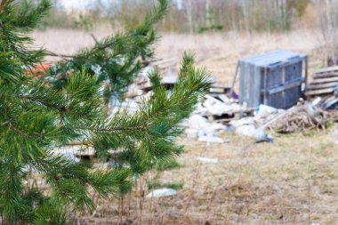 Ormandaki çöp yığını. Doğa sorunları. Ormanların kirli doğası.