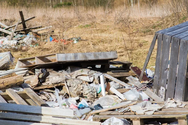 Mucchio Discarica Una Foresta Problemi Ambientali Della Natura Natura Inquinata — Foto Stock