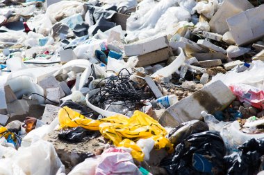 Ormandaki çöplük. Ekolojik sorunlar