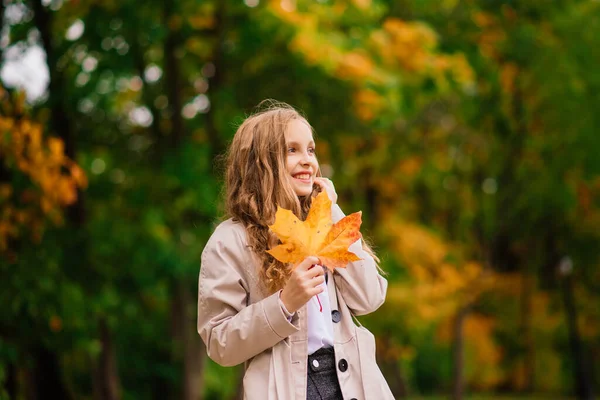 Urocza Dziewczynka Jesiennymi Liśćmi Parku Piękności — Zdjęcie stockowe