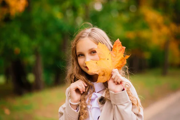 Menina Adorável Com Folhas Outono Parque Beleza — Fotografia de Stock