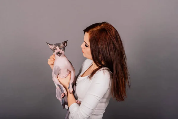 Молодая Женщина Канадским Сфинксом Кошка Студии Серый Фон — стоковое фото
