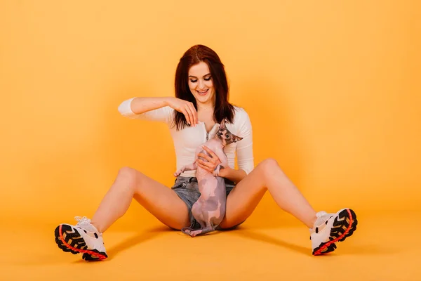 Prachtige Brunette Vrouw Glimlachen Met Sphynx Kitten Poseren Grijs Geel — Stockfoto