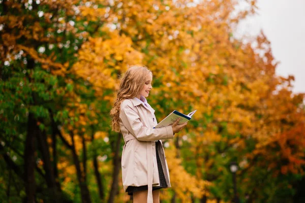 Urocza Dziewczynka Jesiennymi Liśćmi Parku Piękności — Zdjęcie stockowe