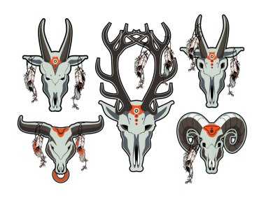 hayvan kafatası kümesi